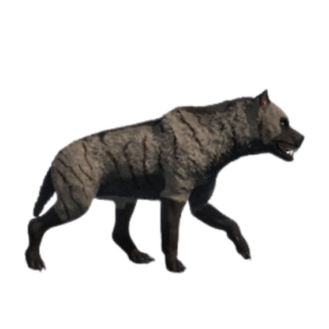 Dinocrocuta